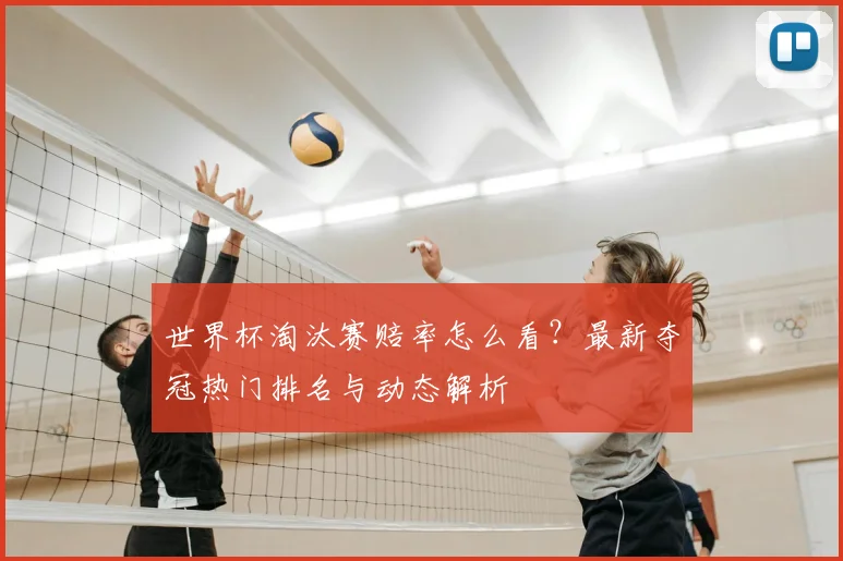 世界杯淘汰赛赔率怎么看？最新夺冠热门排名与动态解析